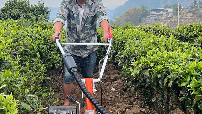 潍坊联合收割机二手批发市场：如何挑选性价比高的设备**