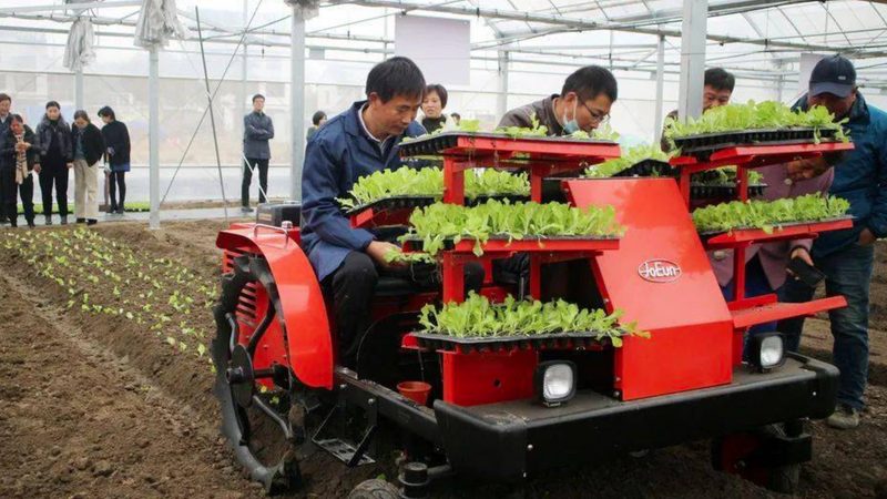洋马水稻收割机：揭秘其型号与关键参数**